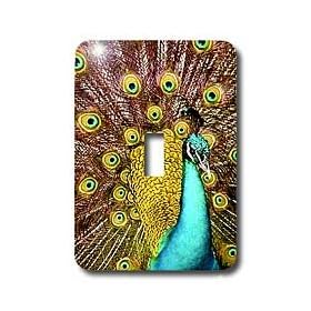 Birds - Colorful Peacock - Light Switch Covers - single toggle switch