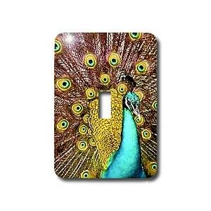 Birds - Colorful Peacock - Light Switch Covers - single toggle switch by 3D Rose