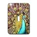 Birds - Colorful Peacock - Light Switch Covers - single toggle switch
