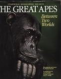 The Great Apes: Between Two Worlds