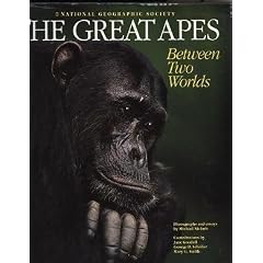 The Great Apes: Between Two Worlds