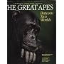 The Great Apes: Between Two Worlds