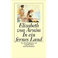 In ein fernes Land: Roman (insel taschenbuch)