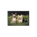 Chihuahuas In Path Indoor/Outdoor Doormat Rug Mat