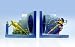 Search : Wonder Woman Deluxe Bookends