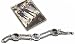 Licensed Disney Jonas Brothers Born To Rock Photo Bracelet on Souvenir Card