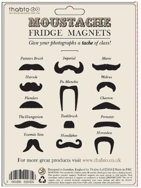 The Present Store Moustache Fridge Magnets Design Gift