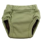 EcoPosh Recycled Organic Training Pants - Large 3T - Bamboo
