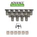 New & Improved Advance Termite Bait & Monitoring 15 - 6 Pro Kit