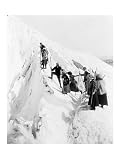 Group of men and women climbing Paradise Glacier in Mt. Rainier National Park, Washington Poster (18.00 x 24.00)