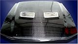 IPP 2007 FORD MUSTANG SHELBY GT500 CARBON FIBER HOOD WITH CHROME INSERTS - IPP - IMAGE PERFORMANCE PRODUCTS, INC.