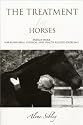 The Treatment for Horses: Energy-Work for Behavioral, Physical, and Health Related Problems