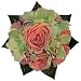 250 Stems Of Green Roses 15 74