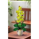 Shopzeus USA zeusd1-CALA-4269898 Single Stem Phalaenopsis Silk Orchid Arrangement