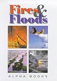 Fires and Floods (Repairing the Damage)