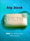 The Big Book Of Filth: 6500 Sex Slang Words and Phrases