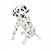 Melissa & Doug Plush Dalmatian