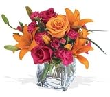 Orange Lilies and Hot Pink Rose Flowers Teleflora's Uniquely Chic Bouquet