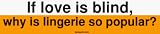 If love is blind, why is lingerie so popular? Bumper Sticker