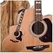 Musical Instruments : EG523SC-SPT Acoustic Electric Guitar (Spalted Maple)