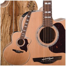 Childrens Toyshop  Musical Instruments : EG523SC-SPT Acoustic Electric Guitar (Spalted Maple)