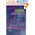 CAMEL: Intelligent Networks for the GSM, GPRS and UMTS Network