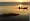 The Rapture of the Deep: And Other Dive Stories You Probably Shouldn't Know