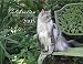 maine_coon14maine coon - Celebration of Maine Coon Cats 2005 Wall Calendar