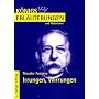 K�nigs Erl�uterungen und Materialien, Bd.330, Irrungen, Wirrungen