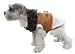 UK dogs clothing 41TARJa6zTL. SL75 UK dogs clothing