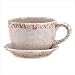 Teatime Delight Cup Saucer Style Flower Pot Planter