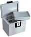 Honeywell 2040 0.14-Cubic-Foot Fire and Water Media Chest, Light Gray