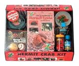Hermit Crab Starter Kit