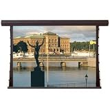 New - Draper Silhouette V Electric Projection Screen - CA4765