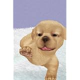 Petz Nursery