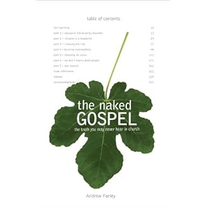 The Naked Gospel: The Truth You May Never Hear in Church