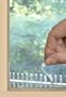 Energy Film Window Film 48-by-84-Inch