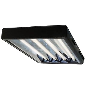 2 ft 4 bulb, T5 Fluorescent Lighting System, with bulbs by 