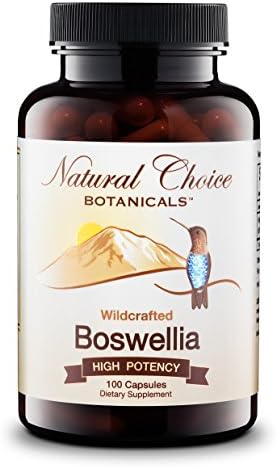 Wildcrafted Boswellia Serrata Extract (65% Boswellic Acids) - 100 Veggie Capsules