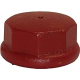 Water Source #DC200 2 CI Drive Cap by WATER SOURCE LLC