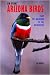 Jim Burns' Arizona Birds: From the Backyard to the Backwoods