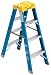 Tools & Hardware : Werner T6004 4-Foot 250-Pound Duty Rating Fiberglass Twin Stepladder