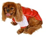 Arsenal F.C. Dog Shirt Small