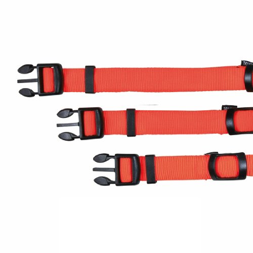 LED Hundehalsband Flash, M-L, 40-55 cm/25mm, orange