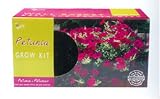 NEW! Hanging Basket Wall Kit - Grow Petunias!