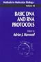 Basic DNA and Rna Protocols (Methods in Molecular Biology)