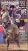 Cowboy Up: Inside the Extreme World of Bull Riding