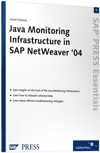 Java Monitoring Infrastructure in Sap Netweaver '04
