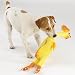 Rubber Chicken (Large)
