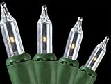 IMAGE OF Set of 50 Twinkling Clear Mini Christmas Lights - Green Wire